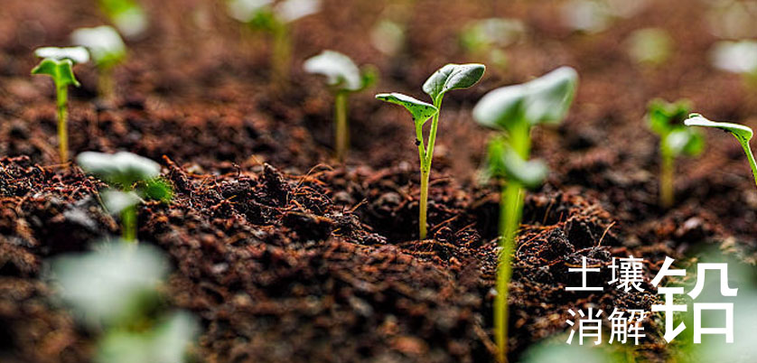 土壤中鉛元素的測(cè)定用D4智能石墨消解儀四酸消解法完成 土壤中鉛元素的測(cè)定用D4智能石墨消解儀四酸消解法完成